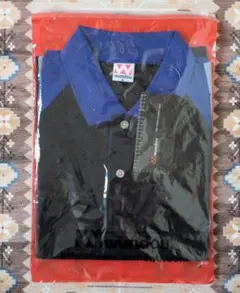 Item thumbnail for item 687aa7ea-f876-409f-ad45-c561abbfd45b