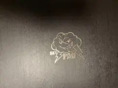 sky pad 3.0 xl（裏側に傷あり）