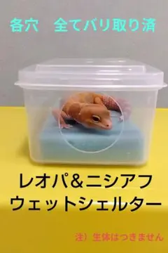レオパ・ニシアフ用 ハンドメイドウェットシェルター（スポンジ付