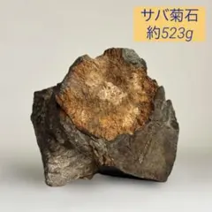 2026年最新】サバ菊花石の人気アイテム - メルカリ