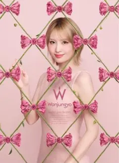 ウォンジョンヨ　wonjungyo クリアファイル