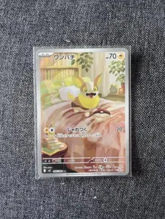 ワンパチAR ポケモンカード