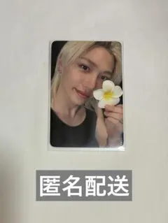 フィリックス　felix everline トレカ KARMA スキズ