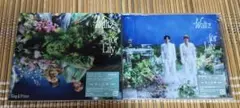 キンプリ　Waltz for Lilyのサムネイル
