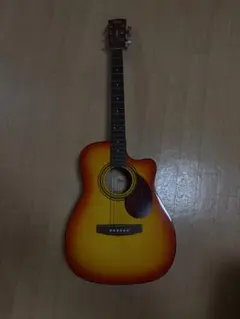 調整済み Cort CAG-1F NAT アコースティックギター フォークサイズ