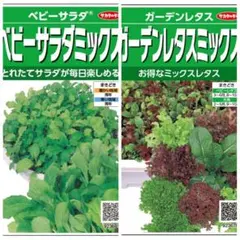 ベビーサラダミックスの種のサムネイル