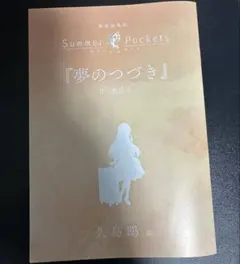 劇場版 映画　Summer Pockets サマポケ　特典　小説　3点セット 劇場版 映画 Summer Pockets サマポケ 特典 小説 3点セット TV