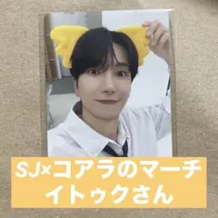【イトゥク】SJコアラのマーチ　ランダムトレカ