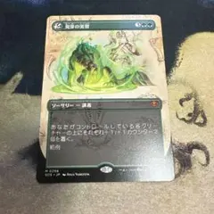 MTG Huu