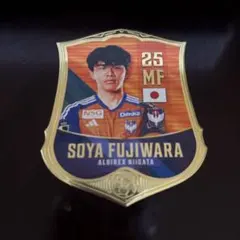 アルビレックス新潟 藤原奏哉