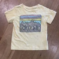 Patagonia Tシャツ　2T