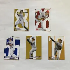 プロ野球チップス2024第1弾スターカード 5枚セット