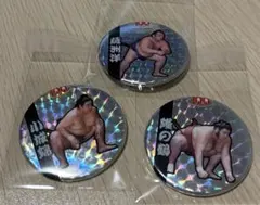 Item thumbnail for item 15657678-0f2f-4a62-a628-73ff5fdf74a7