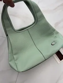 み*わ様 現行 COACH ペブルレザー ハンドバッグ ライトグリーン み*わ様 現行 COACH ペブルレザー ハンドバッグ ライトグリーン - メルカリ