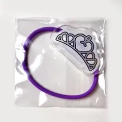 フルーツジッパー 武道館 ランダムカプセル ヘアアクセサリー ヘアゴム 仲川瑠夏