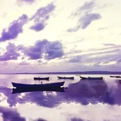 ゆうこ様専用ページ