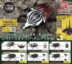 即購入歓迎✨いきもの大図鑑かぶとむし03ヒメカブト「赤色」