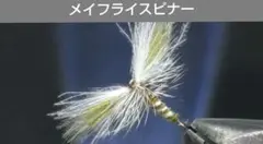 Item thumbnail for item dfef1403-ba40-4fed-a0fa-dc7768dddac3