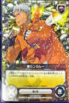 晴カンガルー B06 笹川了平