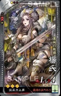 在野登用ok 【特価品】 三国志大戦 R楊氏