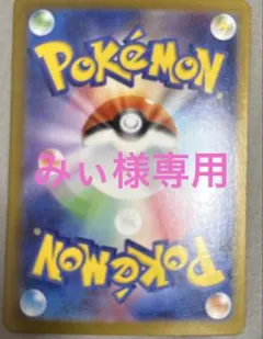 みぃさん専用出品