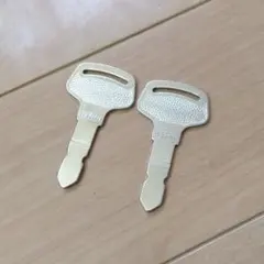 Item thumbnail for item 3d9f90ee-0676-4661-b571-7fef91737035