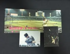 2026年最新】プロ野球カードアルバム1973の人気アイテム - メルカリ