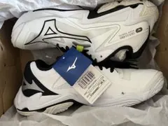 Mizuno バレーボールシューズ ホワイト/ブラック