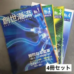 極秘 サイバーネーションファーストビザ DVD 苫米地英人 - メルカリ