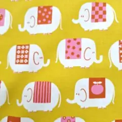 モダ　ルビースター　ゾウ