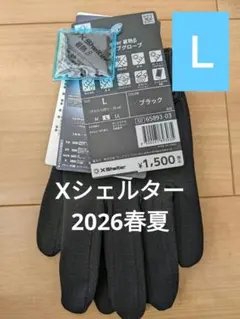 Item thumbnail for item 8d3c0c7a-a1a4-421c-9f4d-97df1c40315c