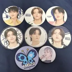 treasure ハルト 缶バッジ 8個セット