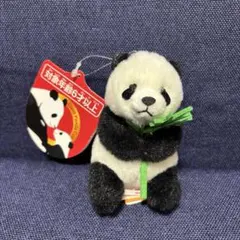 2026年最新】上野動物園 パンダ ぬいぐるみの人気アイテム - メルカリ