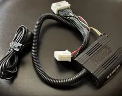 R spec製　NT1871A E51エルグランド TVキットのサムネイル