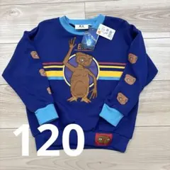 Item thumbnail for item 8bf6e52d-215f-4ed5-8df9-0be582753d4f