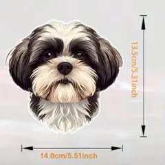 シーズー　ホワイト＆ブラック　お顔アップ　ステッカー　シール　13.5✕14