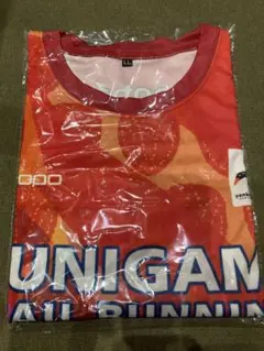 Item thumbnail for item 2273795d-8c84-43a7-a502-108d72df721b