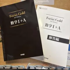 Focus Gold 数学1 A