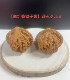 2026年最新】文玩クルミの人気アイテム - メルカリ