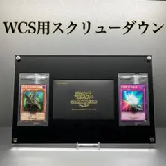WCS用スクリューダウン 黒ver【UVカット】