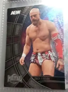 AEW　WWE NXT　新日本プロレス　ザック・ギブソン　プロレス　カード