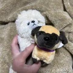 ROUND1限定 パグとポメラニアン ぬいぐるみ