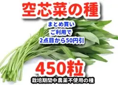 ゆかりん様 リクエスト 2点 まとめ商品