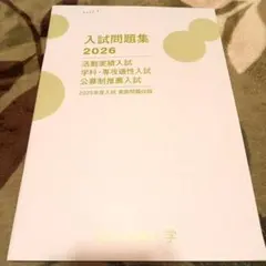 Item thumbnail for item c28982d2-bb91-42ef-ab75-de3b254665d1