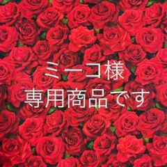 ❣️❣️ミーコ様2点目専用商品です❣️❣️