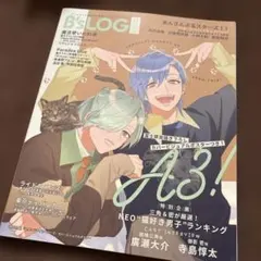 2026年最新】ビーズログ 付録の人気アイテム - メルカリ