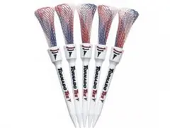 Item thumbnail for item 2f996dfd-ddcc-4aaf-8ff1-03717970be80