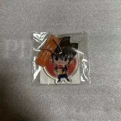 イナズマイレブン ナンジャタウン コラボ 缶バッジ 円堂ハル - メルカリ