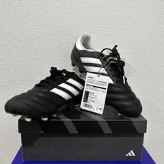 コパアイコン 25