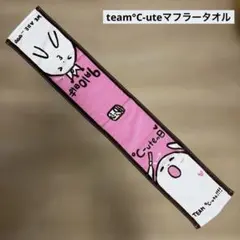 【最終値引】team °C-ute すーさん　マフラータオル　アイドル　未使用
